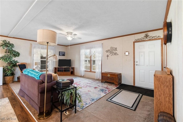 living area featuring a textured ceiling, crown molding, carpet flooring, and ceiling fan