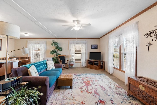 living area featuring ornamental molding, a textured ceiling, ceiling fan, and carpet floors