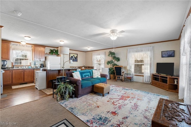 living room featuring a wealth of natural light, a textured ceiling, crown molding, and a ceiling fan