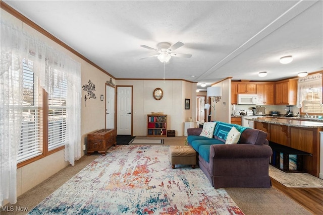 living area with ornamental molding and a ceiling fan