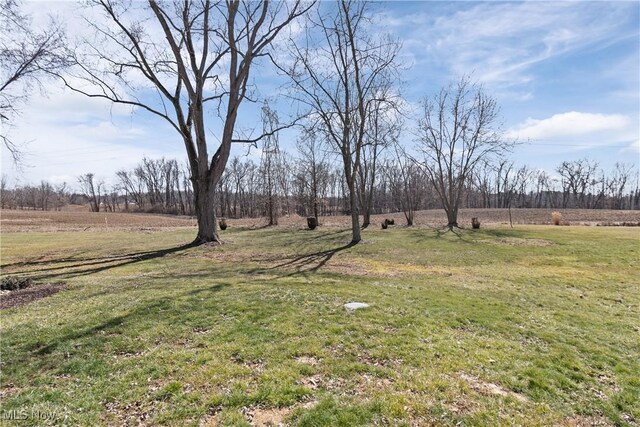 view of yard featuring a rural view