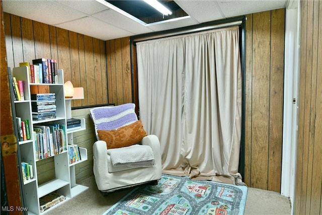 living area featuring wooden walls and carpet