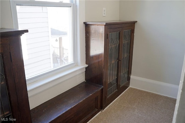 1341 Beach Ave, Lakewood, OH 44107 - details featuring baseboards and carpet flooring