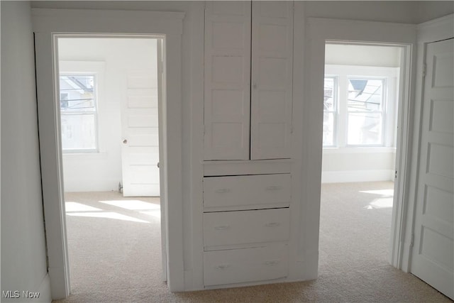 1341 Beach Ave, Lakewood, OH 44107 - hall with carpet flooring