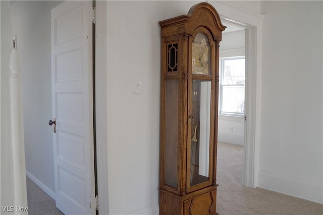 1341 Beach Ave, Lakewood, OH 44107 - corridor featuring carpet floors