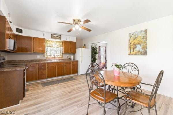 dining room with plenty of natural light, light wood-style flooring, and ceiling fan
