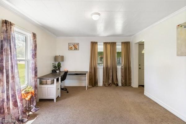 office area featuring baseboards, ornamental molding, and light colored carpet