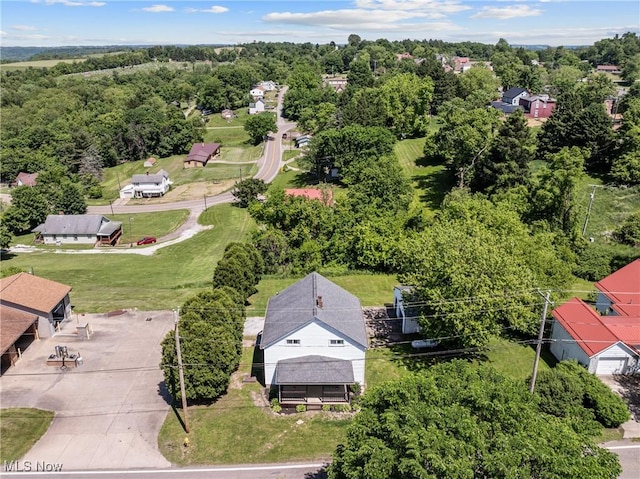 bird's eye view