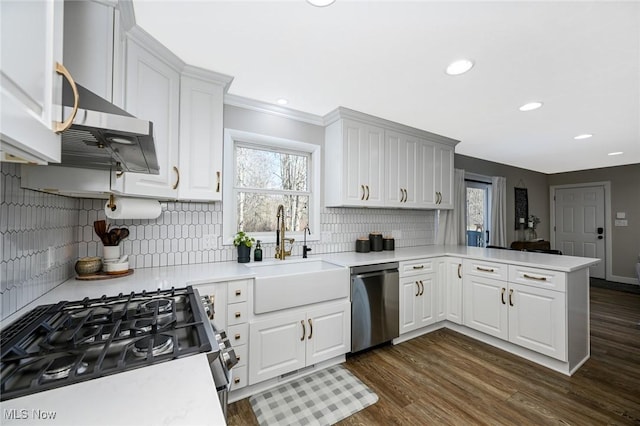 kitchen featuring a sink, stainless steel appliances, a peninsula, and light countertops