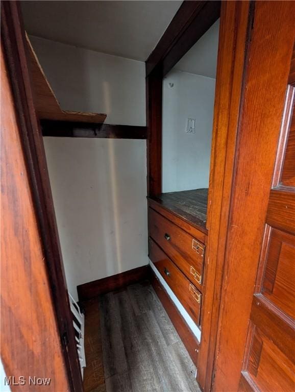 spacious closet featuring dark wood finished floors