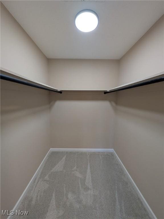 walk in closet featuring carpet flooring