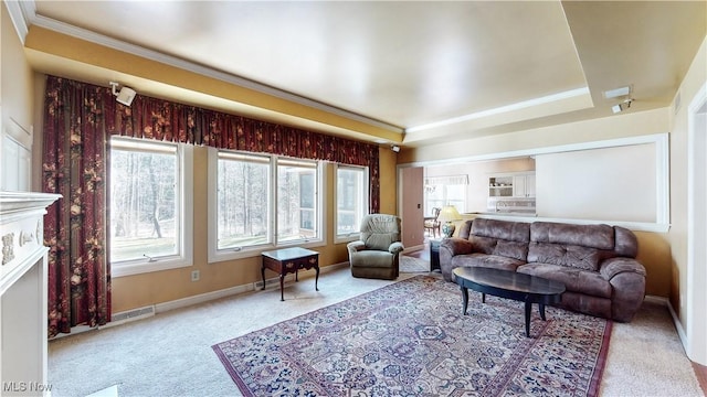 carpeted living area featuring baseboards, plenty of natural light, a raised ceiling, and crown molding