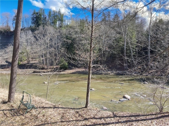 view of yard featuring a forest view