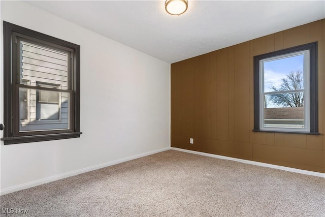 spare room with wooden walls, baseboards, and carpet floors