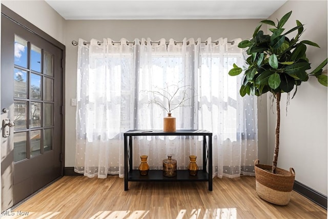 interior details with baseboards and wood finished floors