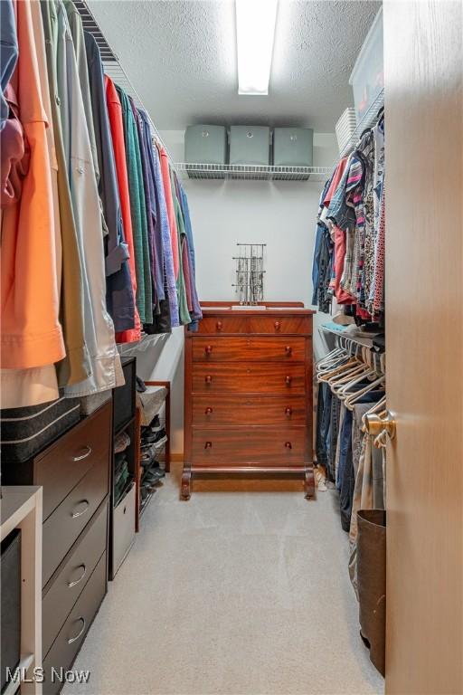 spacious closet featuring light colored carpet