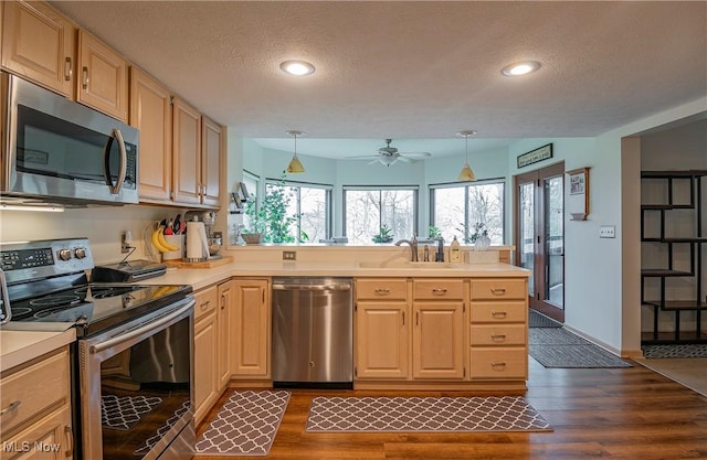 kitchen with a sink, a peninsula, dark wood finished floors, and stainless steel appliances