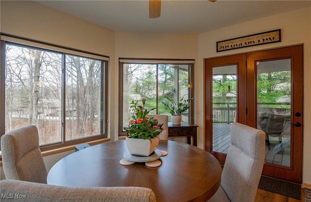 dining room featuring a healthy amount of sunlight and ceiling fan