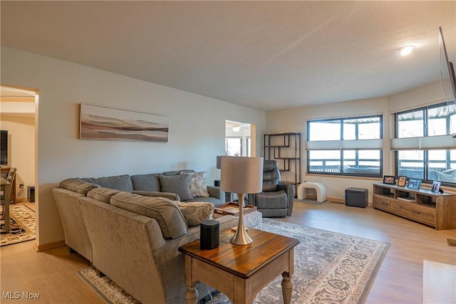 living room featuring baseboards and wood finished floors