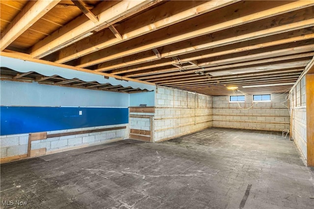 basement featuring concrete block wall