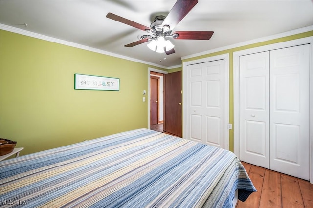 bedroom featuring multiple closets, ornamental molding, a ceiling fan, and light wood finished floors