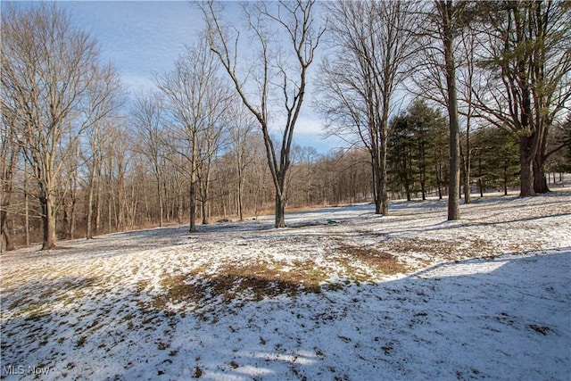 view of snowy yard