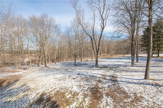 view of yard covered in snow