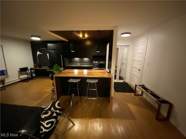 kitchen featuring electric range and wood finished floors