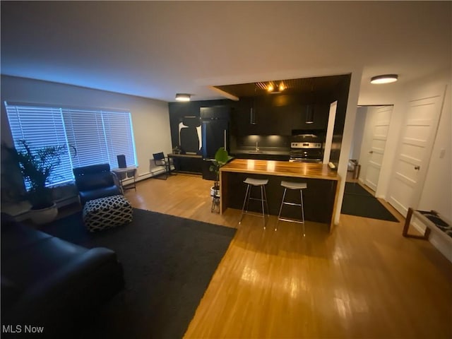 living area with a baseboard heating unit and wood finished floors