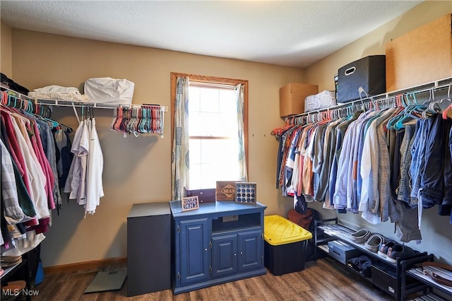 walk in closet with wood finished floors