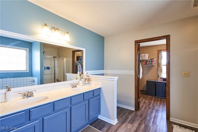 bathroom featuring a sink, double vanity, wood finished floors, and a shower stall