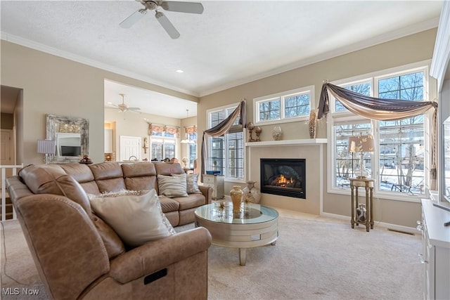 carpeted living area with a glass covered fireplace, a healthy amount of sunlight, and crown molding