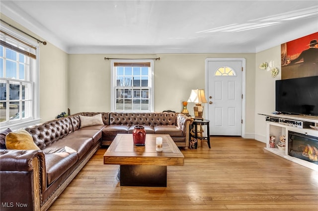 living room with light wood-style flooring