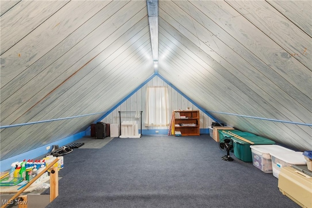 interior space with carpet and lofted ceiling