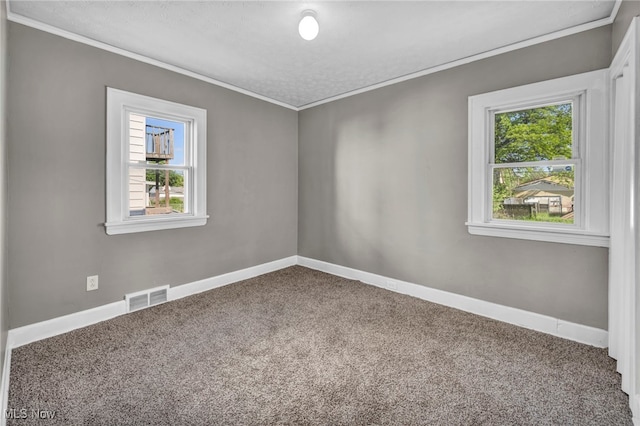 12117 Craven Ave, Cleveland, OH 44105 - carpeted spare room featuring crown molding, healthy amount of natural light, and baseboards