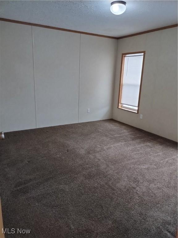 empty room featuring carpet, crown molding, and a textured ceiling