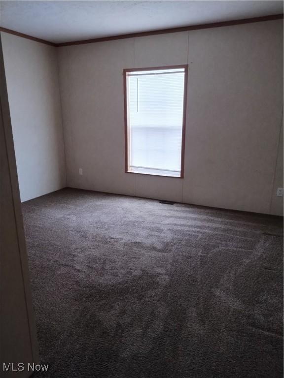 empty room with carpet floors and ornamental molding