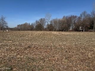 VL NE Hess Mill Rd, Bolivar, OH 44612 - photo 1