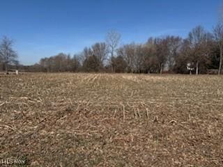 VL NE Hess Mill Rd, Bolivar, OH 44612 - photo 1