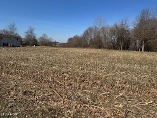 VL NE Hess Mill Rd, Bolivar, OH 44612 - photo 3