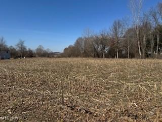 VL NE Hess Mill Rd, Bolivar, OH 44612 - photo 4