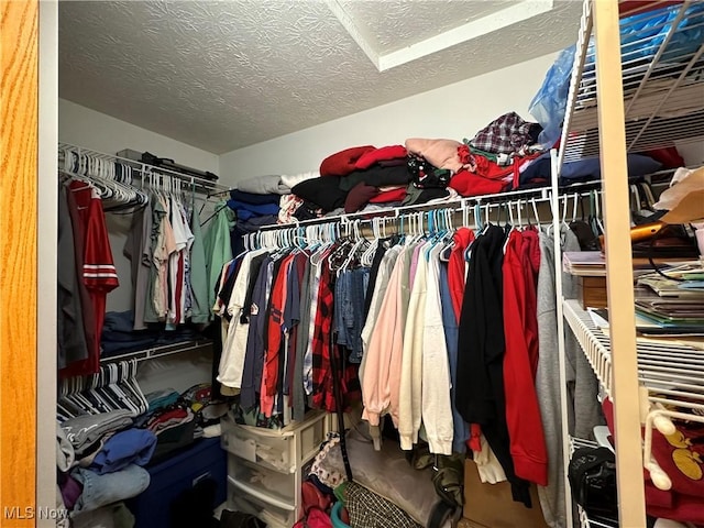 view of walk in closet