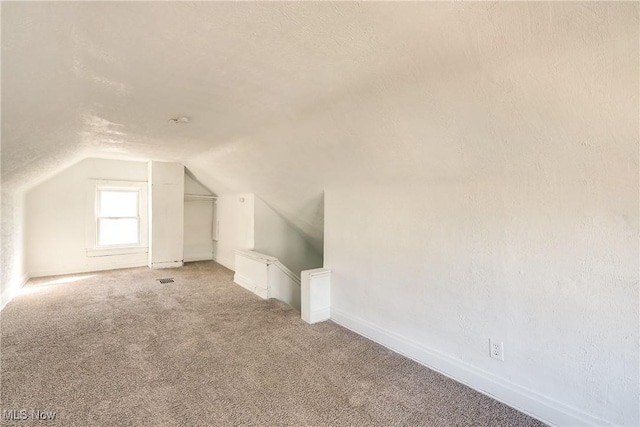 additional living space featuring lofted ceiling, carpet, baseboards, and a textured ceiling