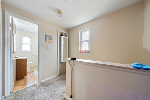 hall featuring light carpet, baseboards, and a wealth of natural light