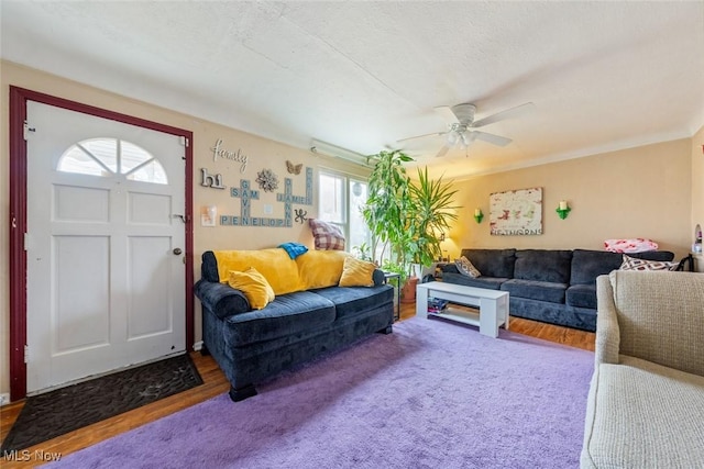 living room featuring a ceiling fan, wood finished floors, and a textured ceiling