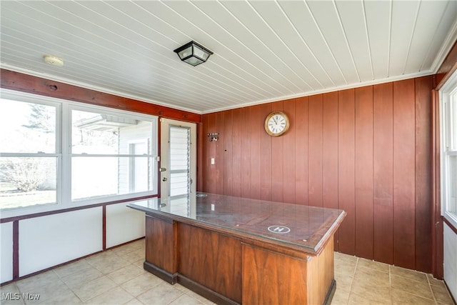 unfurnished office featuring wooden walls