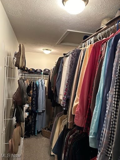 walk in closet featuring carpet floors