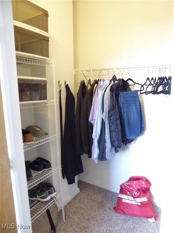 walk in closet with carpet floors