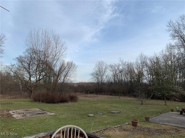 view of yard with a patio