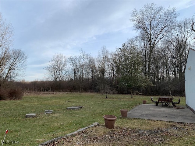 view of yard featuring a patio area